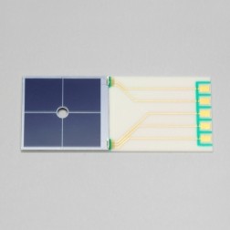 硅光電二極管S11142-10