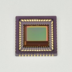 濱松 CMOS面陣圖像傳感器 S13499