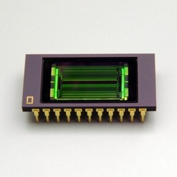銦鎵砷InGaAs線陣圖像傳感器 G11620-256DA