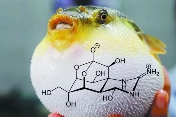 LightDeck研發新款即時檢測設備 美國采購3500萬采購用于新冠病毒檢測(圖2) 1-210929113252561.jpg