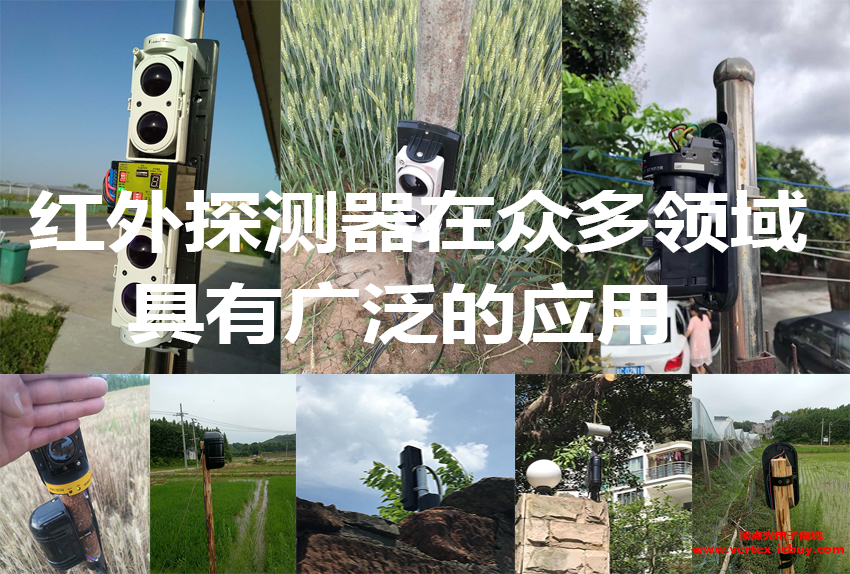 電子科技大學研發新型紅外上轉換光電探測器 性能提升2個數量級(圖1) 1-2110131152031Q.png