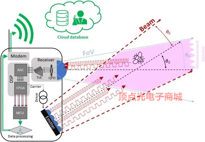 近紅外探測器可用于野外昆蟲監測 實現全自動、全天候長期無人監測(圖3) 1-220224113ZG62.png