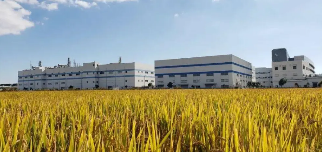 3月份新昇半導(dǎo)體300mm大硅片出貨量已達(dá)到歷史最高點(diǎn)(圖1) 10-2204191J113260.png