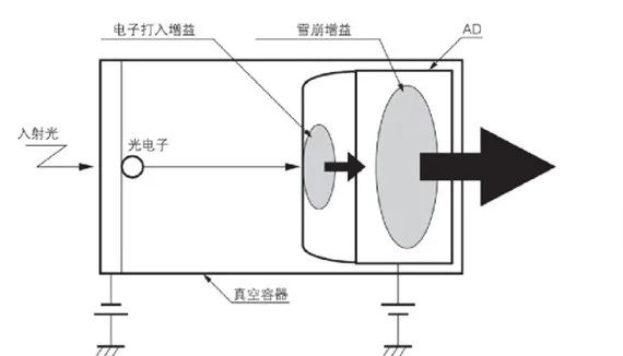 什么是混合探測器,混合探測器與光電倍增管的區別以及參數解析(圖3) 1-231031103954544.jpg