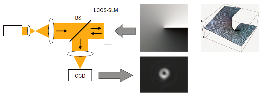 空間光調(diào)制器(LCOS-SLM)基礎(chǔ)光路搭建及實(shí)例(圖10) 1-2406191033055E.png