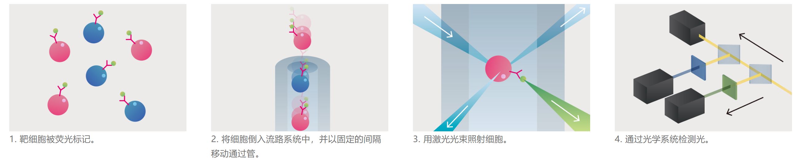 流式細胞儀構造解讀,核心器件選型及技術發展趨勢(圖2) 1-250G0115123605.png