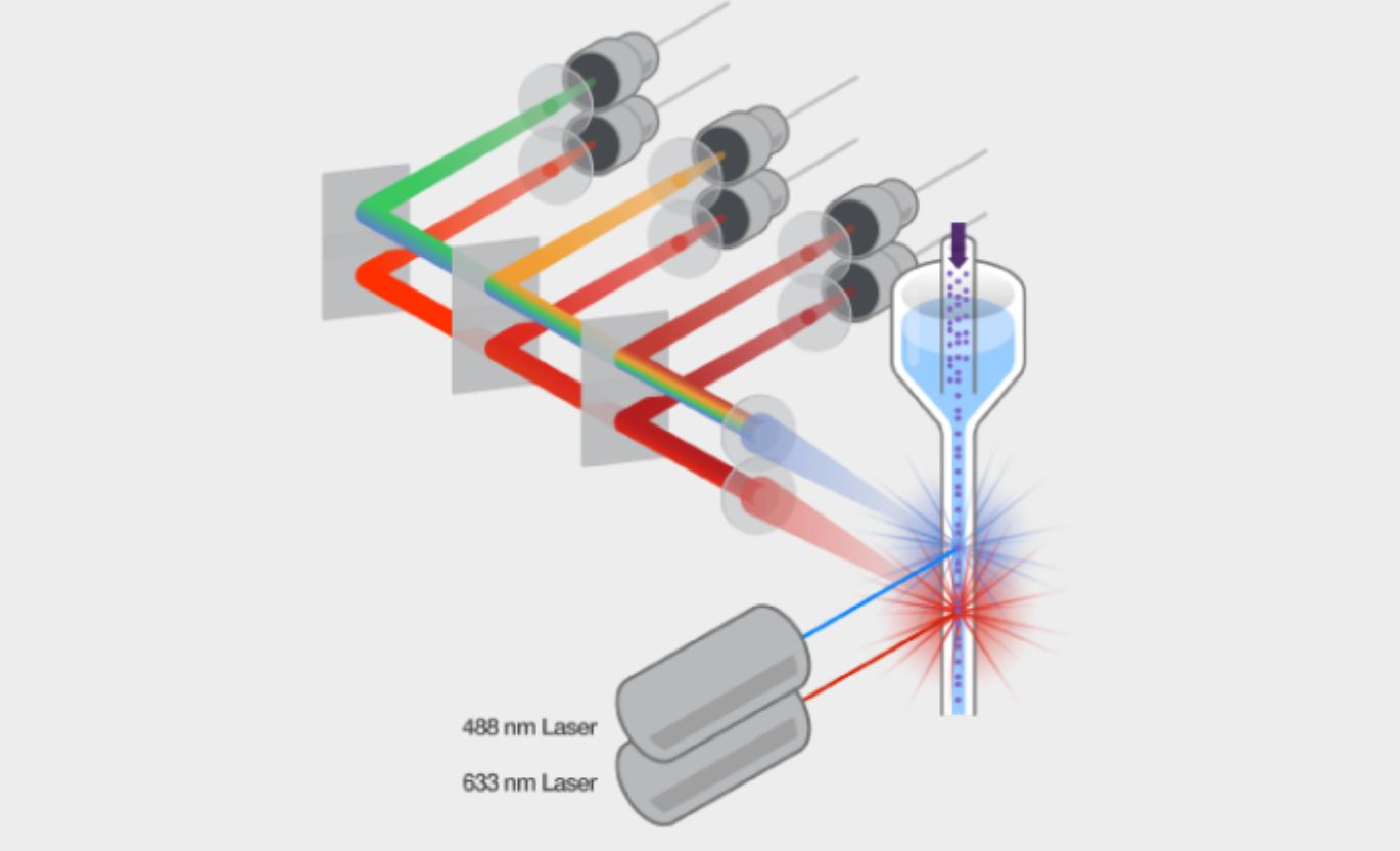 流式細胞儀構造解讀,核心器件選型及技術發展趨勢(圖5) 1-250G0120253216.png
