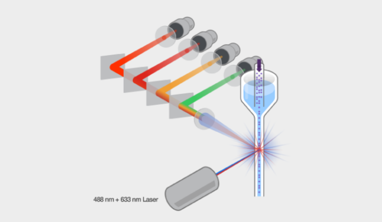 流式細胞儀構造解讀,核心器件選型及技術發展趨勢(圖6) 1-250G0120455445.png