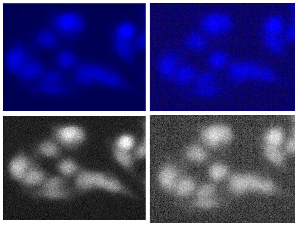 黑白相機(jī)與彩色相機(jī)的成像優(yōu)勢(shì)分析以及常見的誤區(qū)說明(圖4) 1-251202111031V6.png