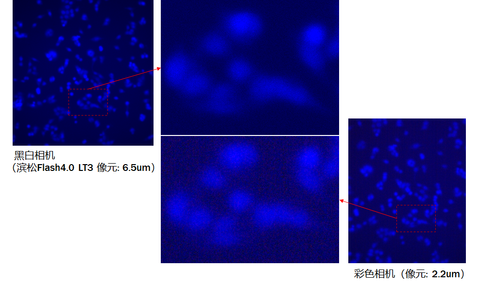 黑白相機(jī)與彩色相機(jī)的成像優(yōu)勢(shì)分析以及常見的誤區(qū)說明(圖5) 1-25120211113GQ.png